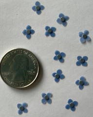 BLUE IMPETIENS FLOWER Embellishment (12pc)Jolee’s •Garden•Plant•Spring•Wedding