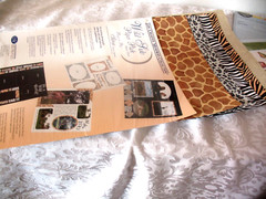 Lot Wild Side Photo Mounting Paper, Rainbow strips, Bountiful Designer 8×8 paper