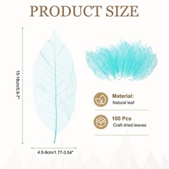 100 Pcs Skeleton Leaves for Scrapbook, 1.8-3.5 Inch, Sky Blue