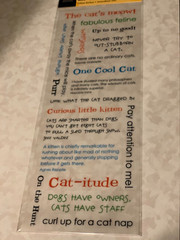 AMERICAN TRADITIONAL DESIGNS LIL’ MESSAGES ‘PAWS AND CLAWS CAT MESSAGES 20PCS