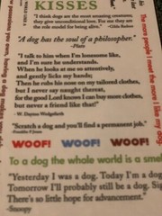 AMERICAN TRADITIONAL DESIGNS LIL’ MESSAGES ‘WOOF MESSAGES’ 20PCS