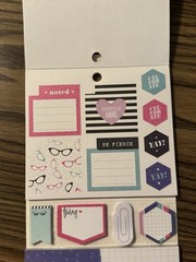 The Happy Planner Boss Babe Multipack 399 Pieces PLMP-04
