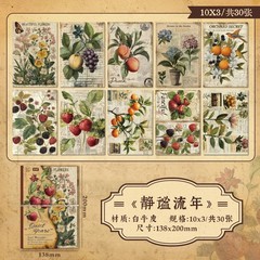 30 pcs Vintage Scrapbooking Stickers DIY Craft Supplies for Album Planner
