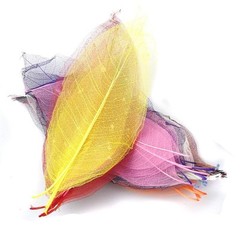 50pcs Skeleton Leaves Natural Dried Crafts Card Making