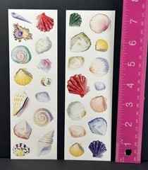 Unbranded ASSORTED SEASHELLS Stickers 2 Sheets