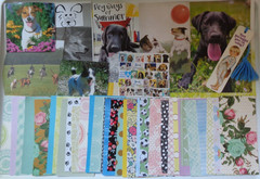 Lot Mixed Ephemera & Embellishments for Scrapbook/Junk Journal/Craft Pack 5+ lbs