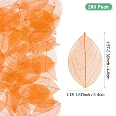 200-Pack Skeleton Leaves, Natural Rubber Leaves Vein[4-6cm, Orange]