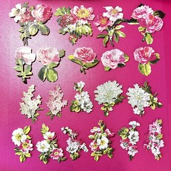 Anna Griffin’s Latest Carte Noire Floral 3D Stickers 36 PCS of Flowers, Layers