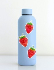 Strawberry Die Cut Vinyl Stickers Set Scrapbooking Laptop Water Bottle