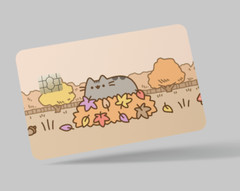 PUSHEEN CAT , 2 pc credit card skin & DEBIT CARD,TROLLEY & GYM
