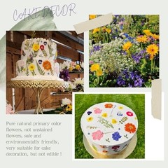 48 Pcs Natural Dried Pressed Flowers for Resin Jewelry, Crafts & Decor, Multicol