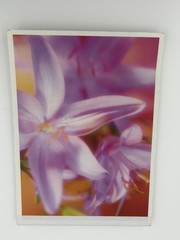 Mead Floral Decorated Stationery Sheets 80 Count 5.75×7.875 Purple Flower 2004
