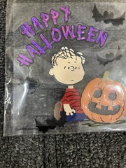 New! Peanuts Charlie Brown Snoopy Halloween Scrapbooking Stickers EK Success
