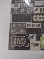 Studio 112 Die Cut Stickers 40 Piece Birds, Flowers, And Words