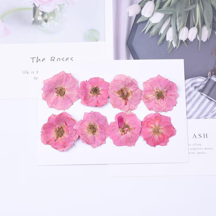 8PCS Real Pressed Dried Pink Rose flower Head, Natural Color FCD70 #1