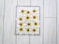 Daisies Layered paper flowers Black white daisy gem embellishment Fall 8 package