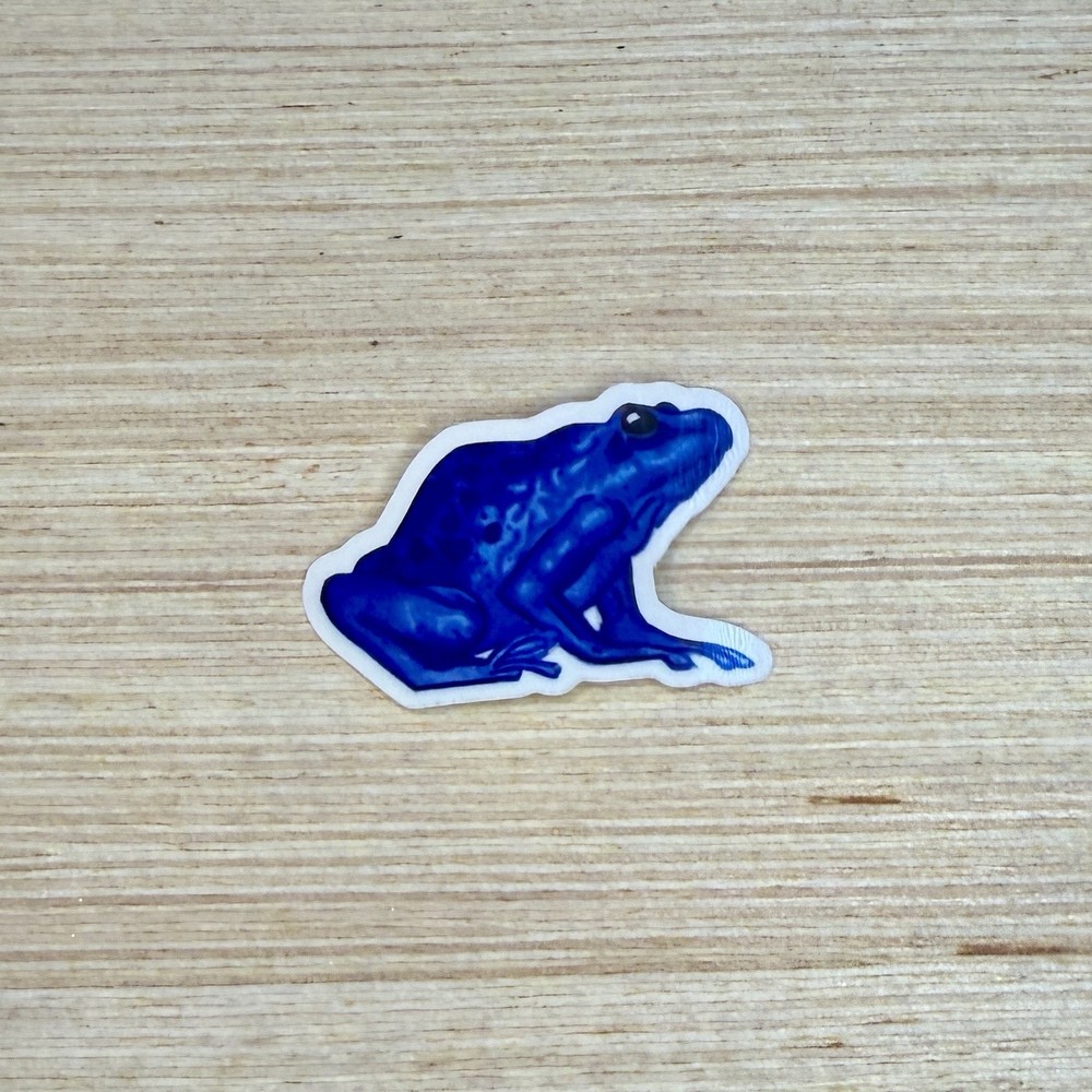 Die Cut Sticker Hand Drawn Blue Poison Dart Frog