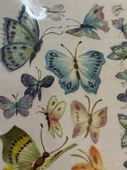 Butterflies Scrapbook Stickers & Rub On Transfers Lot