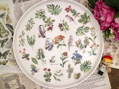 60pcs/Pack flower birds animal floral plant botanical Themed , washi paper stick