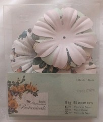 Docrafts Papermania Botanicals Set Paper Pack Cards 3D Bloomers Ribbon /597