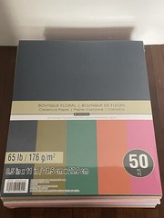 LOT of 5 Michaels Recollections Card Stock 50 Pc Packs 65 Lb Assorted Colors NIP