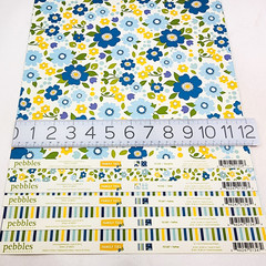 Pebbles Scrapbook Paper Lot 12×12 Family Ties 5 Sheets 2012 Double Sided