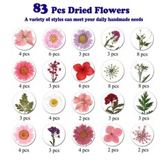 83 Pcs Pink Real Dried Pressed Flowers Natural Leave Petals for DIY Resin Mol…