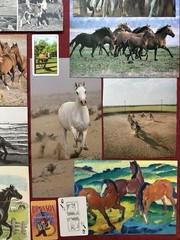 HORSES Curated playing cards & book pages kit Some Vintage 45 Pieces – original