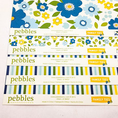 Pebbles Scrapbook Paper Lot 12×12 Family Ties 5 Sheets 2012 Double Sided
