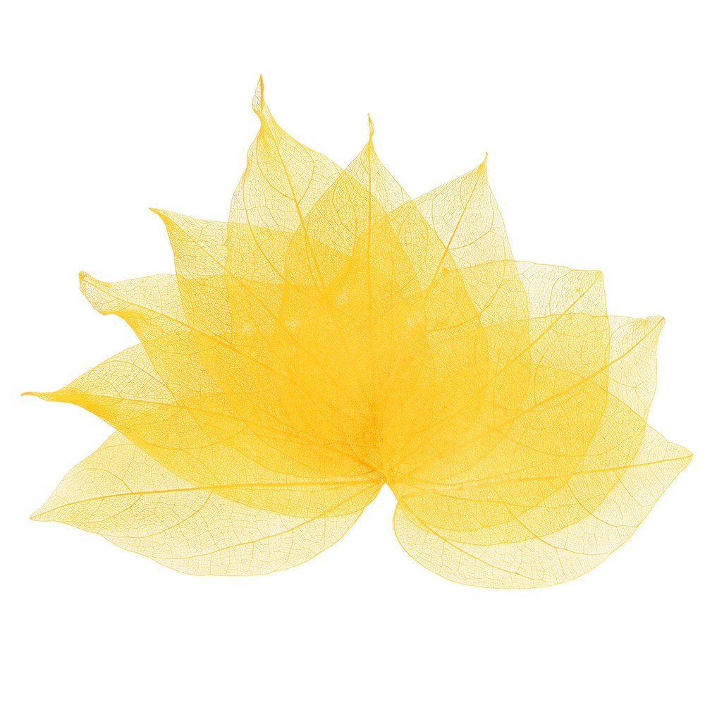 100-Pack Skeleton Leaves, Natural Rubber Tree Leaves Vein[7-9cm, Yellow]