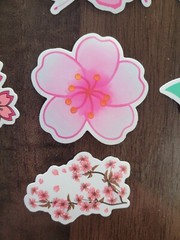STICKERS x 10 Flowers Pink Cherry Blossom Orchid Tree Sticker CHE3