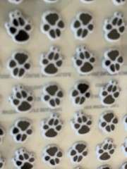 RECOLLECTIONS 3D PUPPY PAW PRINTS DOG FEET PRINTS 1/2” PAWS 48PCS