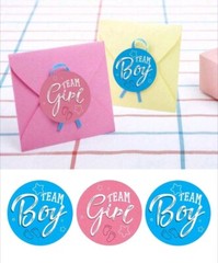 500 pcs Sticker Seal Roll Baby Shower Team Boy Girl Semi Gloss Self Adhesive NEW