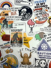 NEW Meme Stickers 15 Pcs Funny Humor Laptop Water Bottle Savage Snarky Sassy