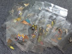 Lot of Vintage Paper Bird Small Cutouts for Junk Journaling Scrapbooking Crafts