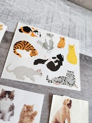 Scrapbook Stickers Animals Cats Dogs Kittens Puppies Paws LOT Grossman’s #48
