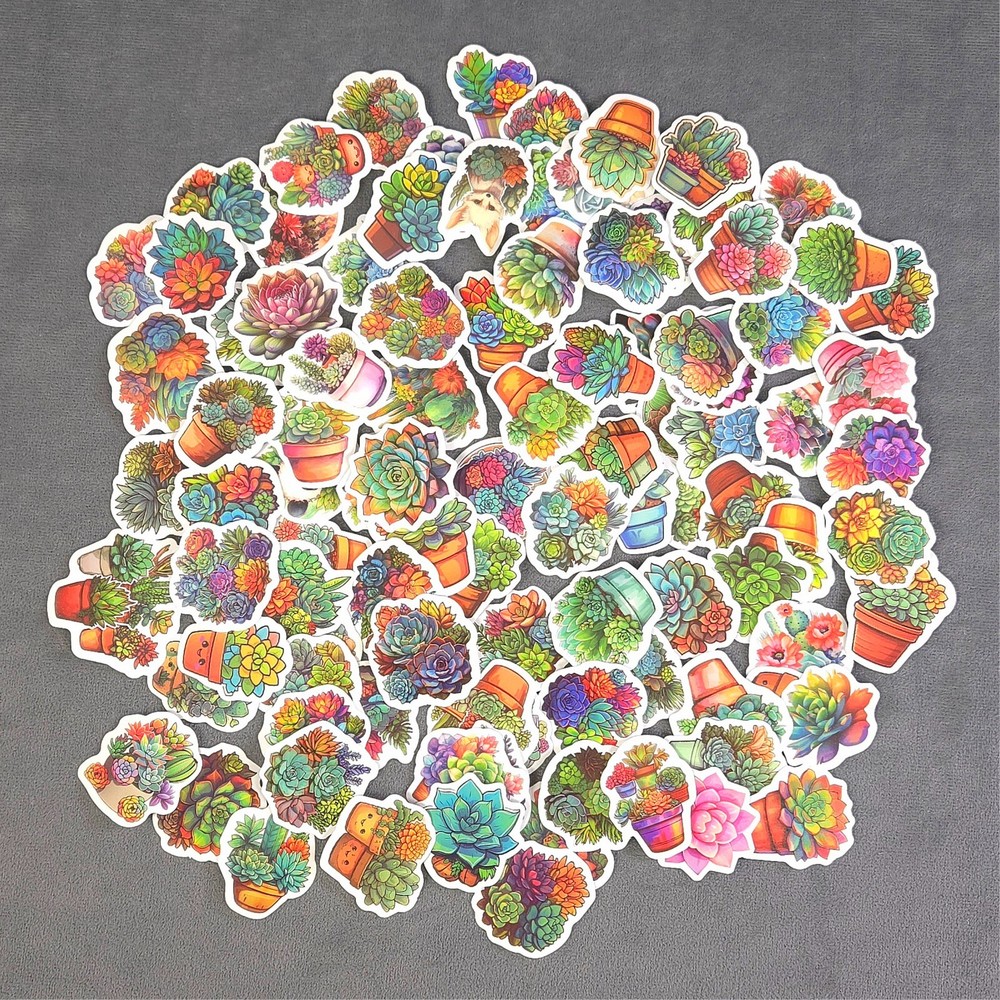 Cute Colorful Succulent Plant Stickers – Set of 10 Stickers – Great for Crafts