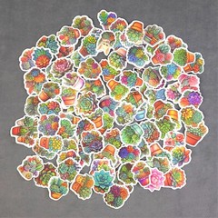 Cute Colorful Succulent Plant Stickers – Set of 10 Stickers – Great for Crafts