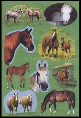 Stickers – Horse – Any Occasion CL117