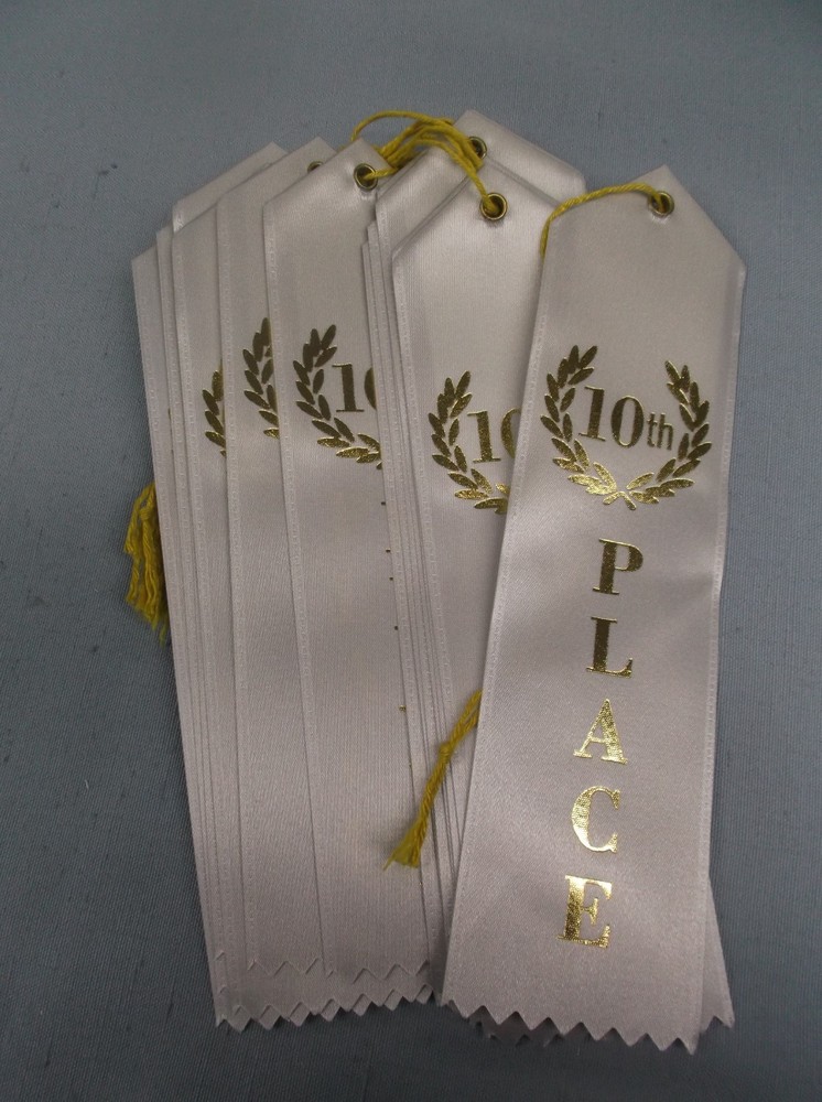 Lot of 12 – 10th Place Award Ribbons – Flat Card & String – Scrapbooking Grey