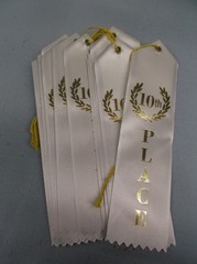 Lot of 12 – 10th Place Award Ribbons – Flat Card & String – Scrapbooking Grey