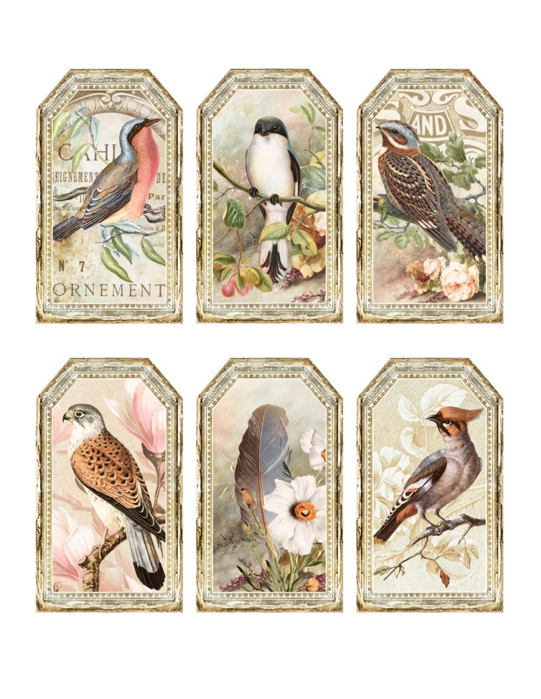 Set of 6 Vintage Bird Ephemera Shabby Chic Tag – STICKERS – Just Cut & Use!