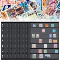Gersoniel 30 Pieces 21.8 x 28 cm / 8.58 x 11.02 inches, black, transparent
