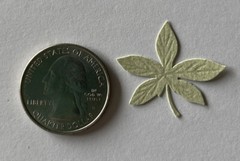 LIGHT GREEN PALM FROND Die-cut Embellishment(10pc)Jolee’s•Flower•Garden•Stems•