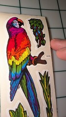 Vintage Stickers BJs Parrots 1 Module