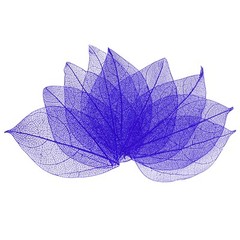 200-Pack Skeleton Leaves, Natural Rubber Leaves Vein[4-6cm, Purple]