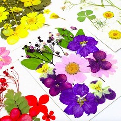 92 Pcs Purple Dried Pressed Flowers Real Natural Leave Petals for DIY Resin C…