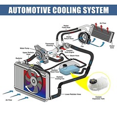 Coolant Radiator Reservoir Tank for BMW 328d 2014-2018 2.0L 17137642160