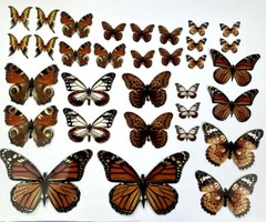 Crafter’s Square Butterfly Stickers Craft 56 total bonus butterfly necklace NEW