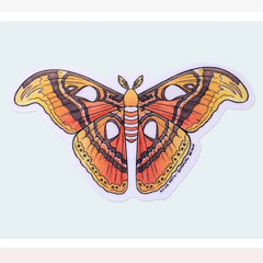 Atlas Moth Sticker – Waterproof Vinyl Nature, Garden, & Insect Decal – Crafts